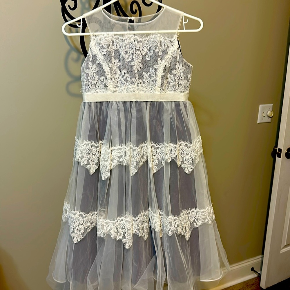 Like New Plum and White Lace Gown